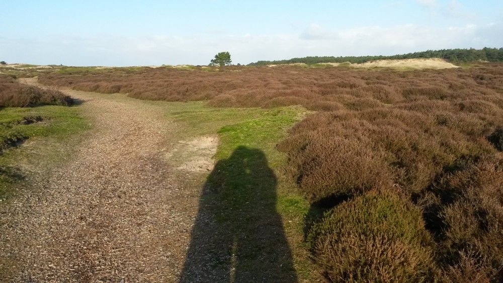 Verblijf 031548 - Bungalow Terschelling - Glissando