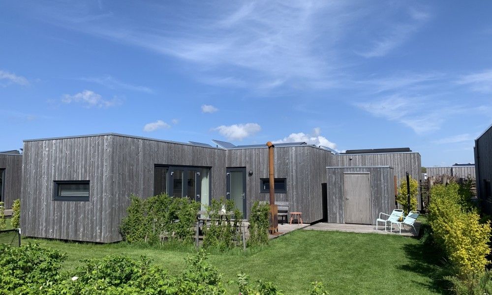 Guest house 031582 - Holiday property Terschelling - Kleine Walvis