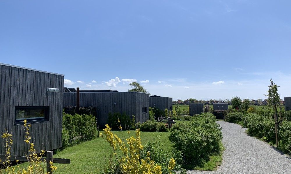 Guest house 031582 - Holiday property Terschelling - Kleine Walvis