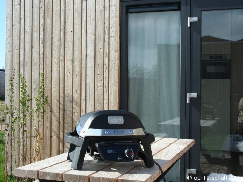 Guest house 031582 - Holiday property Terschelling - Kleine Walvis