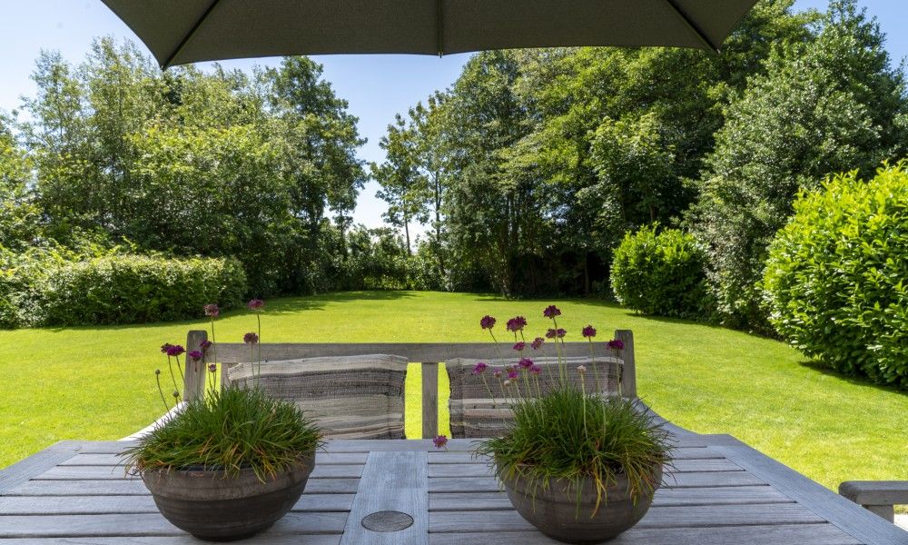 Geniet van het groene uitzicht vanaf het terras van vakantiewoning Noordhoek in Midsland Noord, Terschelling, Waddeneilanden.