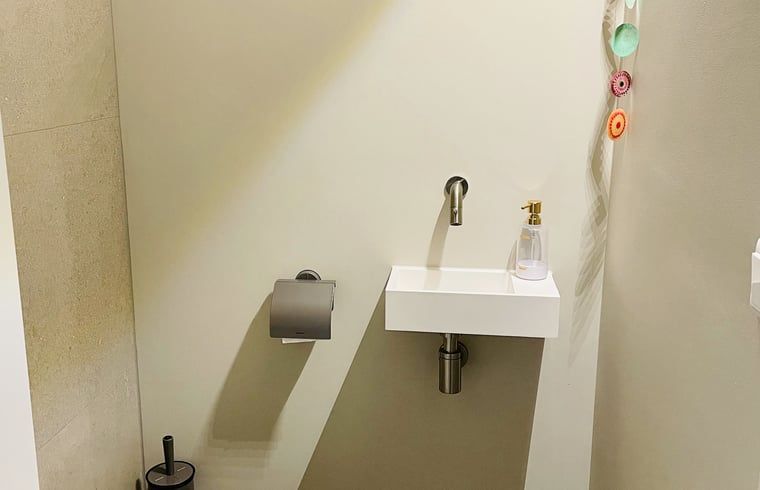 Das stilvolle Waschbecken und die Toilette im Ferienhaus in Ballum, Ameland, bieten moderne Annehmlichkeiten fuer die Gaeste.