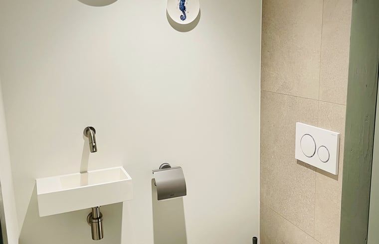 Moderner Toilettenraum in einem Ferienhaus in Ballum, Ameland, mit schlichtem Finish und stilvollen Details.