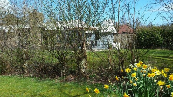 Garden of Jans bungalow in Ballum, Ameland, with blooming flowers and green surroundings.
