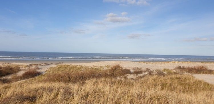 Verblijf 0401157 - Bungalow Ameland - Zeevonk