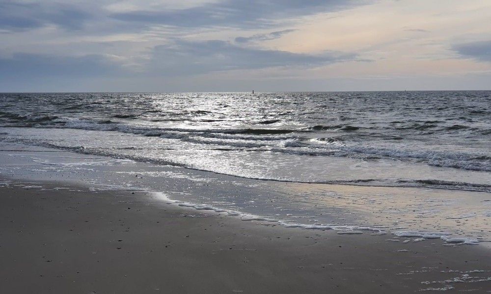 Verblijf 0401157 - Bungalow Ameland - Zeevonk