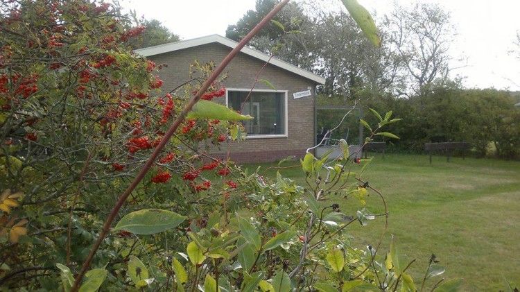Verblijf 0401157 - Bungalow Ameland - Zeevonk