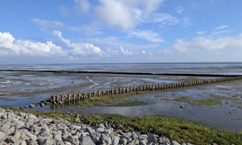 Unterkunft 0401163 - Appartement Ameland - Finn Lodge