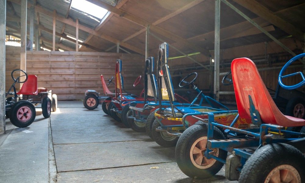 Unterkunft 0401163 - Appartement Ameland - Finn Lodge