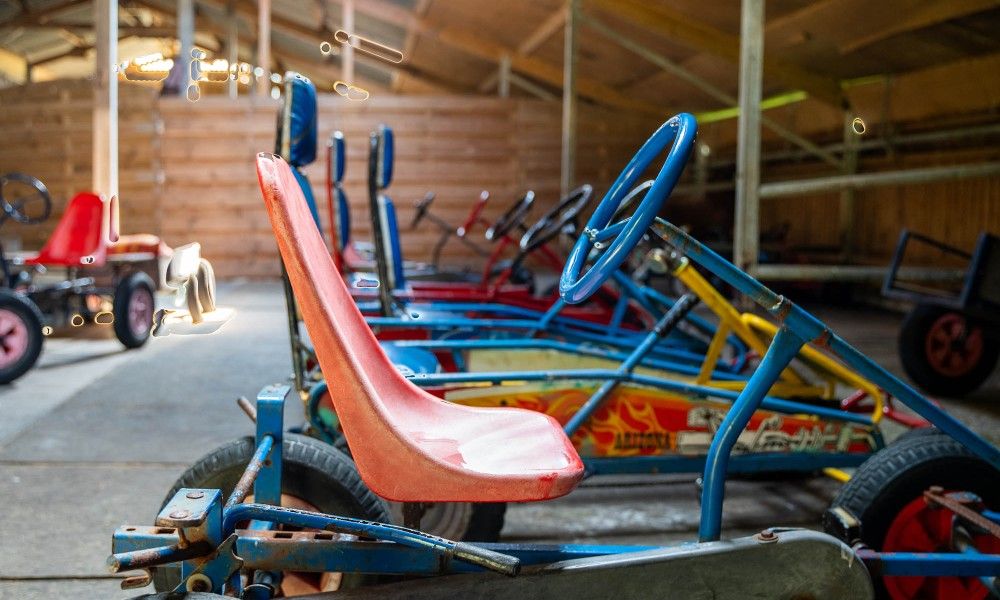 Unterkunft 0401167 - Ferienhaus Ameland - Lodge 't Pandje