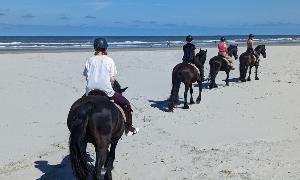 Unterkunft 040126 - Bungalow Ameland - Zilt****