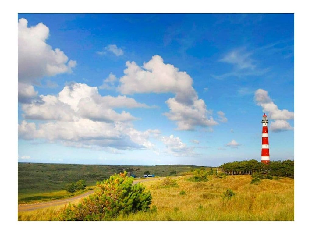 Verblijf 040130 - Vakantiewoning Ameland - 293562