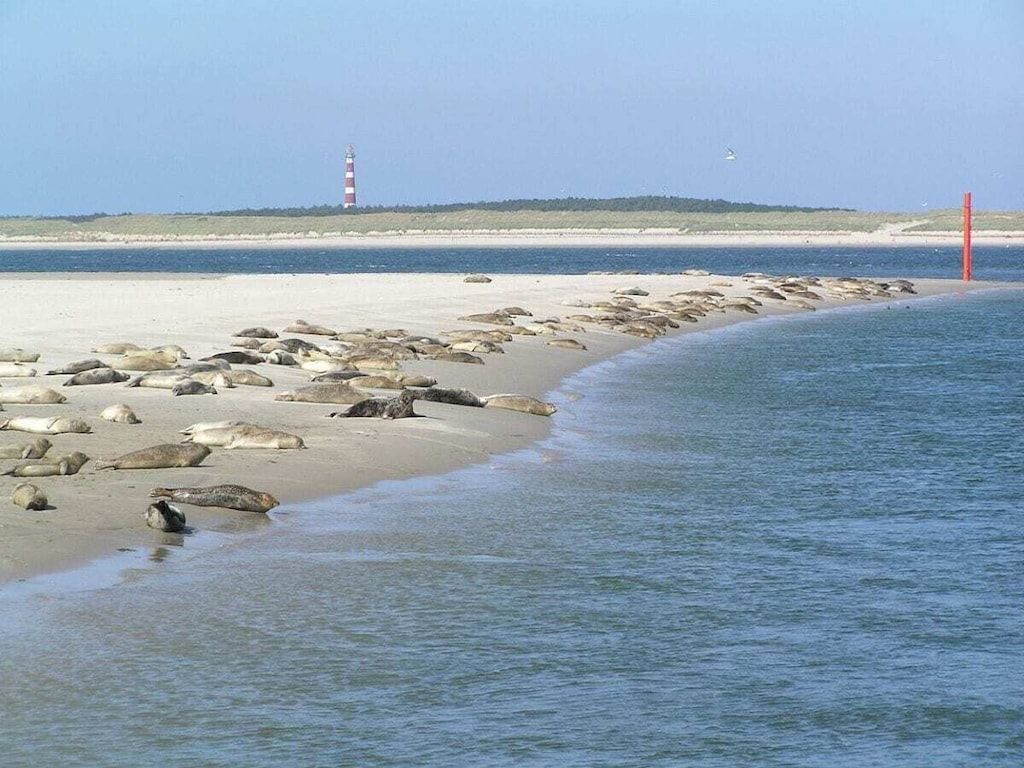 Verblijf 040130 - Vakantiewoning Ameland - 293562