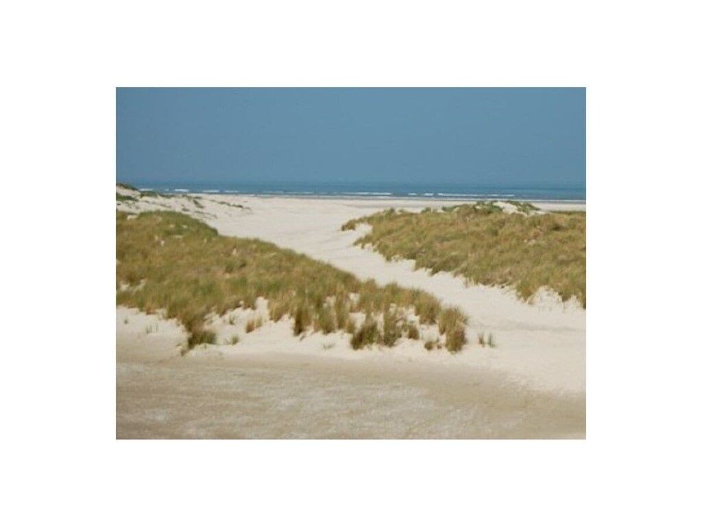 Verblijf 040130 - Vakantiewoning Ameland - 293562