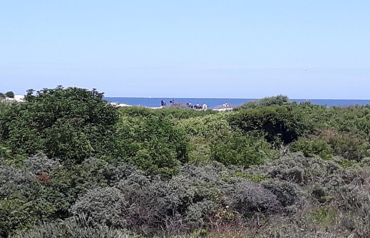 Groene omgeving rondom Vakantiehuisje in Hollum op Ameland, perfect voor natuurliefhebbers en wandelingen.