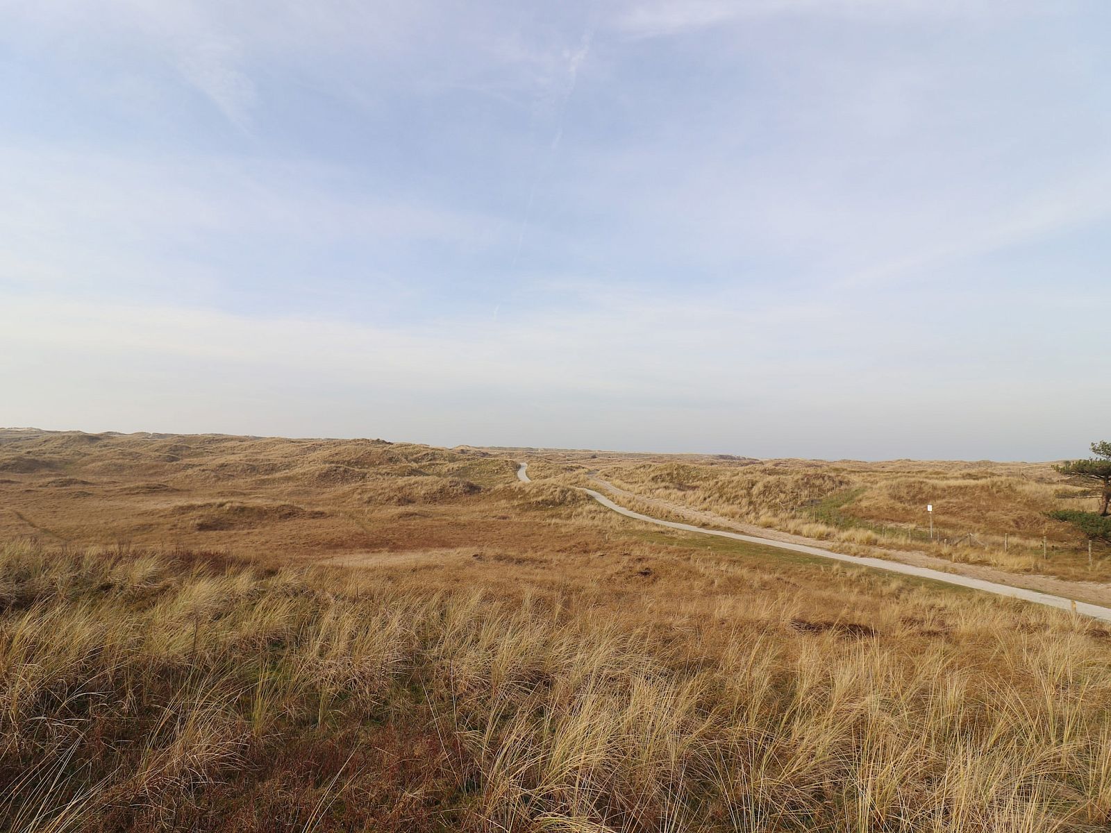 Guest house 0403125 - Holiday property Ameland - Luxe safaritent op Ameland