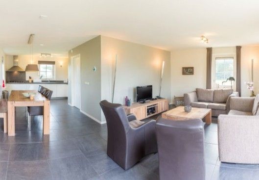 Spacious living room of ENGELSMANDUINVILLA DELUXE 6 vacation home in Hollum, Ameland with modern decor and lots of natural light.