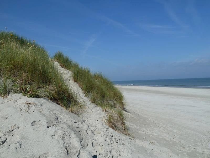 Unterkunft 0403203 - Bungalow Ameland - Fairway