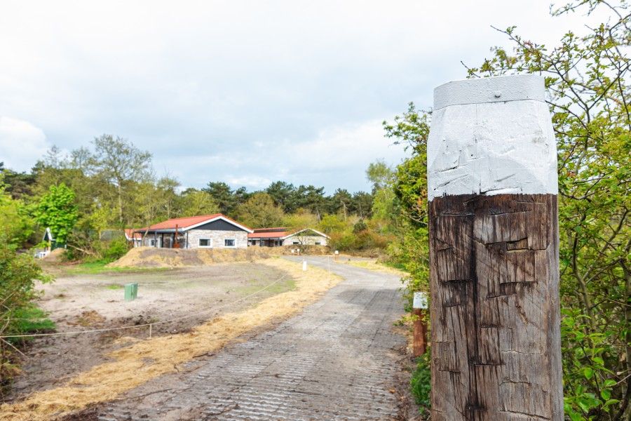 Surroundings of Nesserduinen 42D, vacation home in Nes, Ameland, surrounded by nature and tranquility.