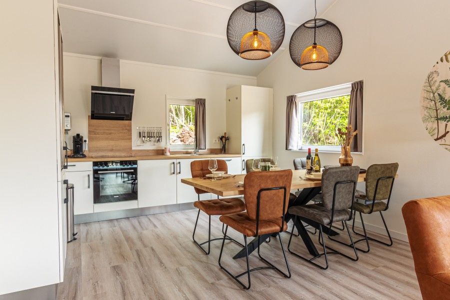 Modern kitchen and dining area in Nesserduinen 42D, vacation home in Nes, Ameland with stylish furnishings.