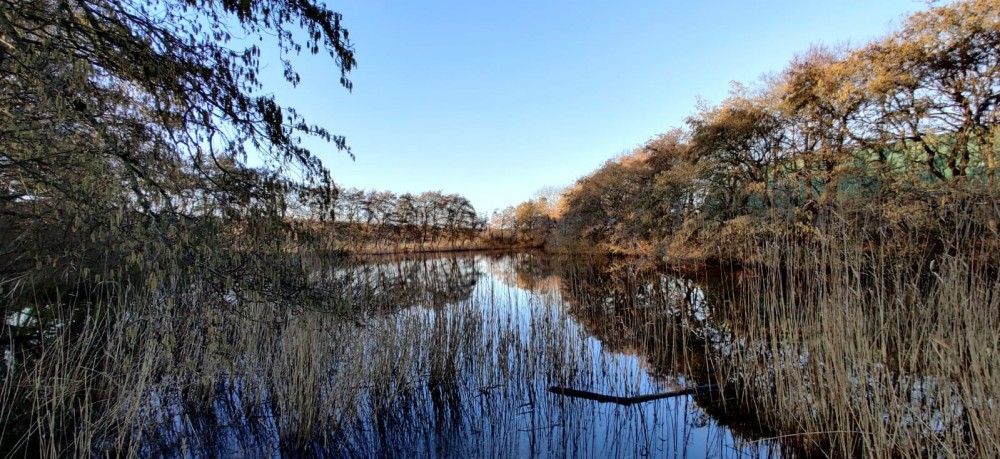 Guest house 0404121 - Holiday property Ameland - Nesserduinen 42D