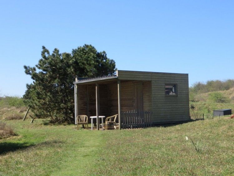 Ferienhaus Zeerust auf Schiermonnikoog mit Holzterrasse und Blick auf gruene Natur, Watteninseln.