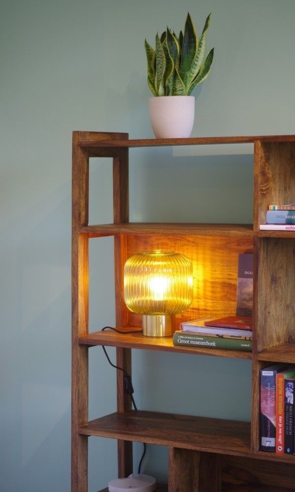 Bookcase with mood lighting in Louwtjesduin Oost vacation home, Schiermonnikoog.
