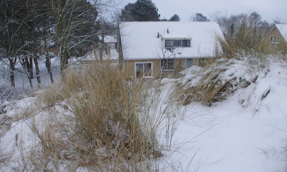 Winter landscape around Louwtjesduin East vacation home, Schiermonnikoog.