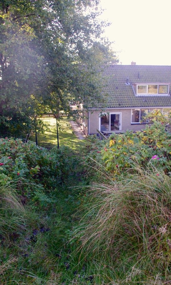 Green surroundings of Louwtjesduin East vacation home on Schiermonnikoog.