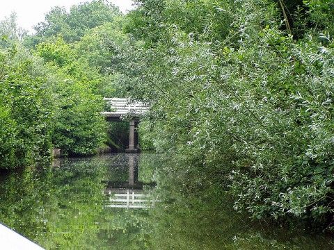 Quiet waterway surrounded by nature at Recreation Company 'on the water', Heeg, Frisian lakes.