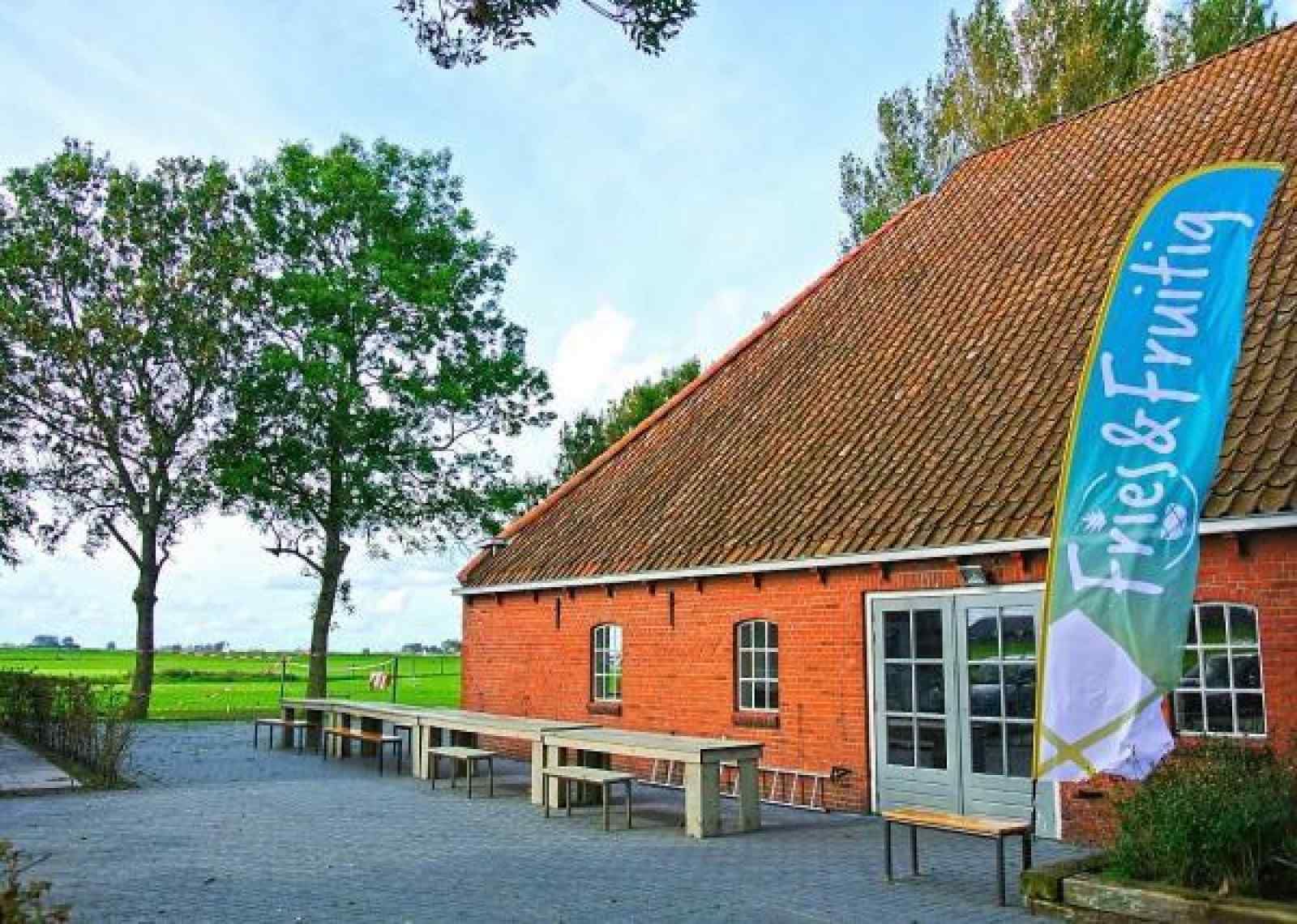 FR164 vakantiehuis in Oudega met terras en uitzicht op groene velden