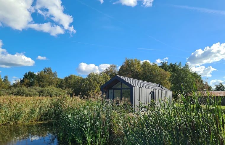 Huisje in Oudega, vakantiehuis aan het water in Friese meren, omringd door natuur.