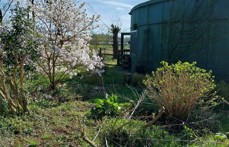 Bloeiende tuin bij Vakantiehuisje in Oudega, gelegen aan het Heegermeer in de Friese meren, met kleurrijke flora.