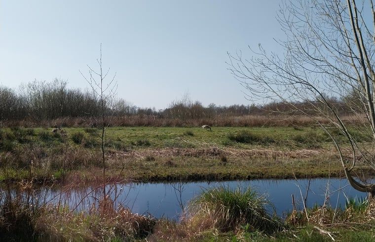 Rustgevend uitzicht op het water vanuit Vakantiehuisje in Oudega, gelegen aan het Heegermeer in de Friese meren.