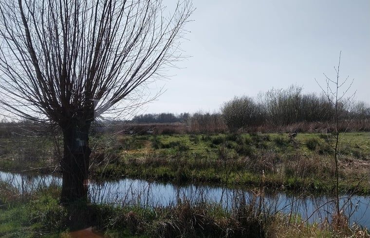 Natuurlijke omgeving bij Vakantiehuisje in Oudega, aan het Heegermeer in de Friese meren, ideaal voor natuurliefhebbers.