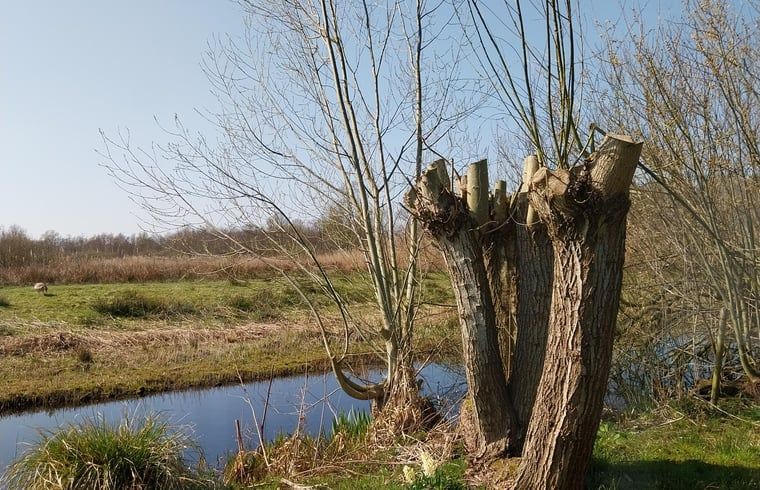 Gezellige woonkamer in Vakantiehuisje in Oudega, gelegen aan het Heegermeer in de Friese meren, met comfortabele zitruimte.