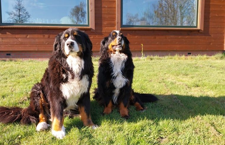 Kinderkamer met antieke stoel in Vakantiehuisje in Oudega, gelegen aan het Heegermeer in de Friese meren.