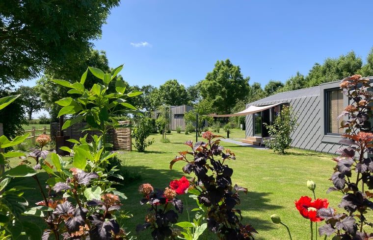 Aussenterrasse des Ferienhauses in Koudum, umgeben von einem gruenen Garten und bunten Blumen.
