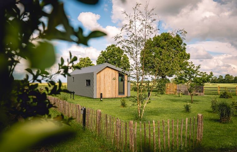 Gemuetliches Ferienhaus in Koudum, umgeben von gruener Natur und einem Holzzaun.