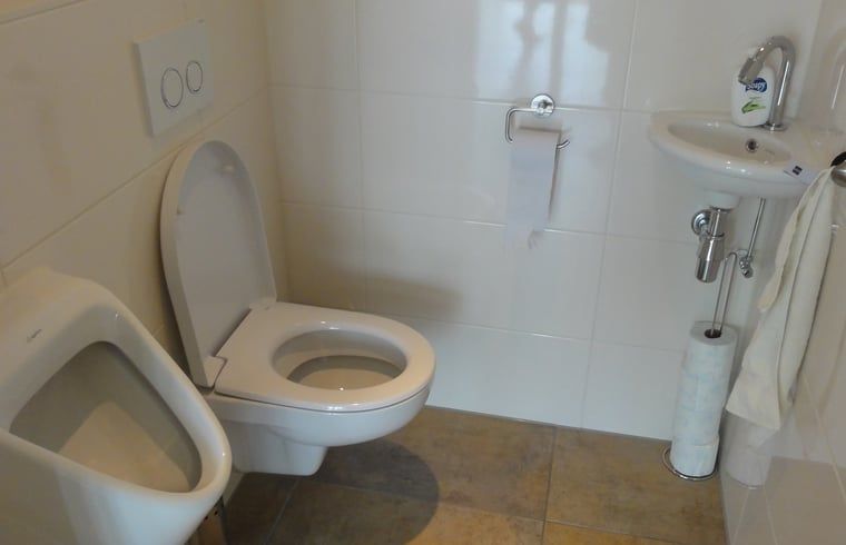 Guest house 080106 - Holiday property Fluessen - Vakantiehuisje in Koudum