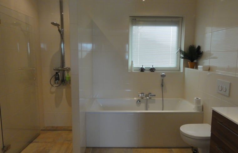 Guest house 080106 - Holiday property Fluessen - Vakantiehuisje in Koudum