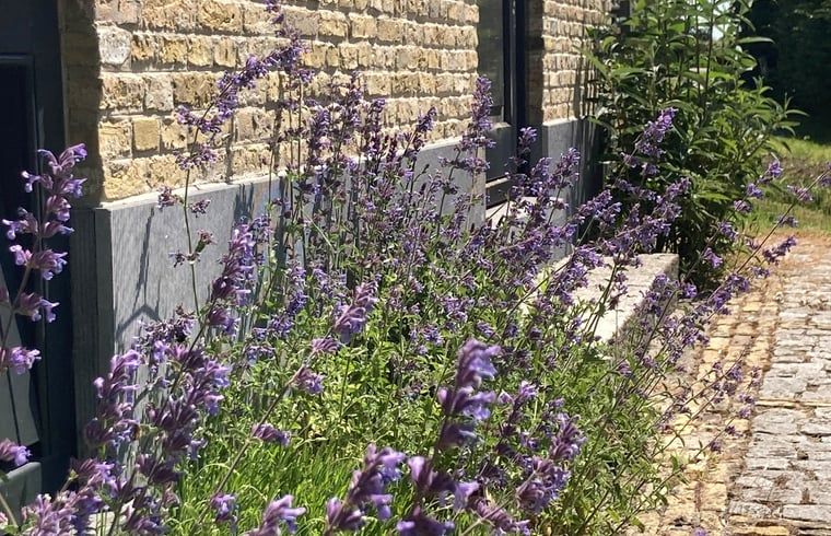 Verblijf 080635 - Vakantiewoning Fluessen - Vakantiehuis in Gaastmeer