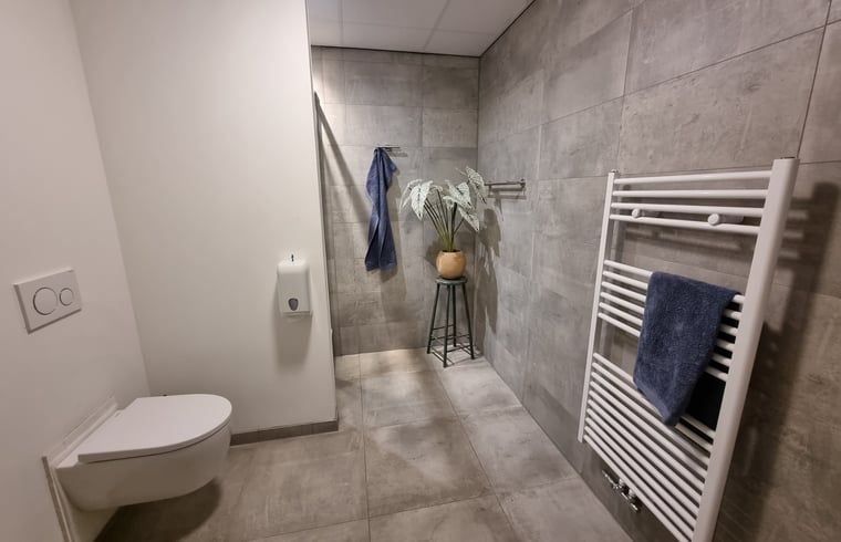 Stilvolles Badezimmer mit begehbarer Dusche im Ferienhaus in Balk, ideal fuer luxurioese Entspannung in der Naehe des Slotermeers.