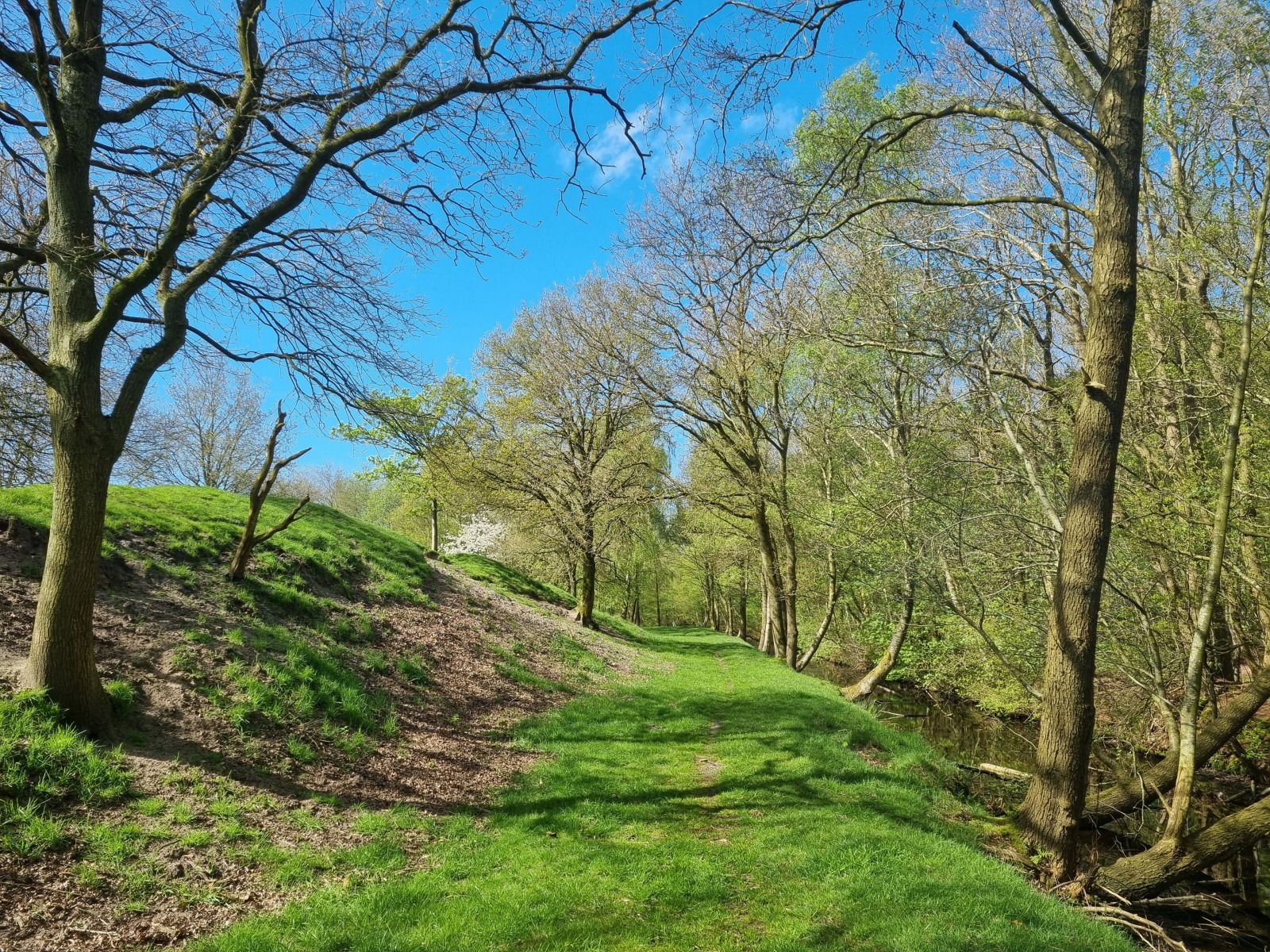 Unterkunft 090511 - Ferienhaus Slotermeer - FR503