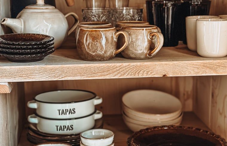 Unterkunft 100113 - Ferienhaus Tjeukemeer - Vakantiehuis in Echtenerbrug