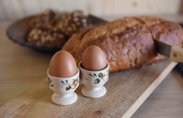 Unterkunft 100113 - Ferienhaus Tjeukemeer - Vakantiehuis in Echtenerbrug
