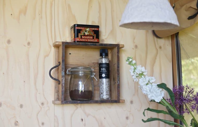 Unterkunft 100113 - Ferienhaus Tjeukemeer - Vakantiehuis in Echtenerbrug