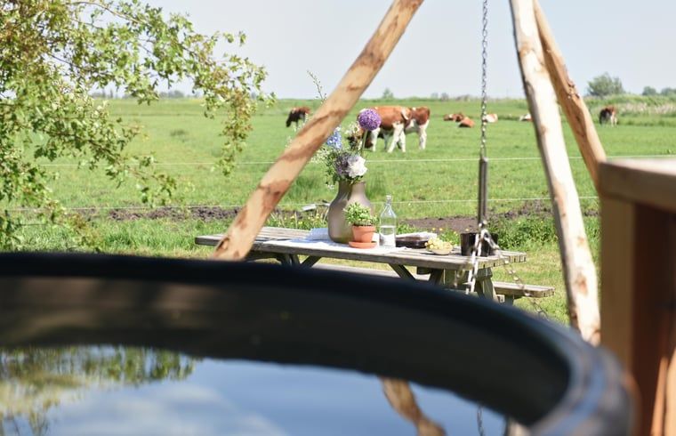 Unterkunft 100113 - Ferienhaus Tjeukemeer - Vakantiehuis in Echtenerbrug