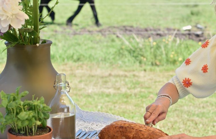 Verblijf 100114 - Vakantiewoning Tjeukemeer - Vakantiehuisje in Echtenerbrug