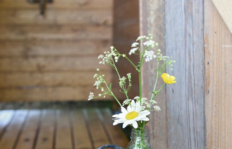 Verblijf 100114 - Vakantiewoning Tjeukemeer - Vakantiehuisje in Echtenerbrug
